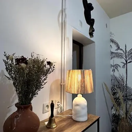 Hyper Centre - Proche Castillet Apartment