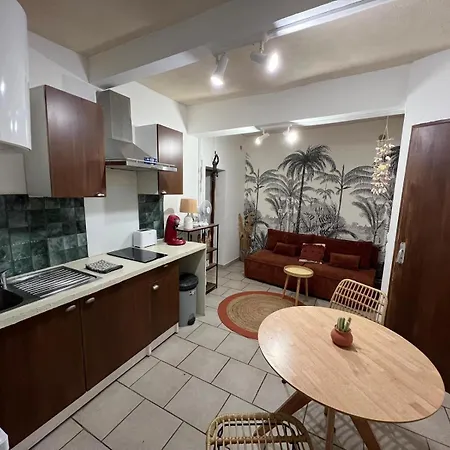 Hyper Centre - Proche Castillet Apartment *